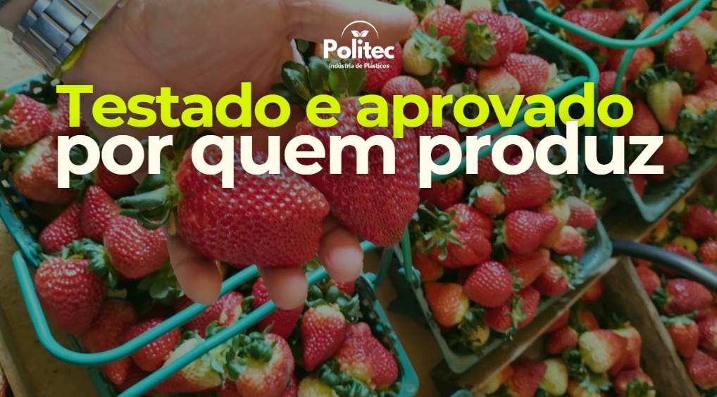 Viticalha — destaque